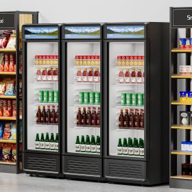 Commercial Merchandiser Refrigerator 13.3 CU.FT Glass Door Display Refrigerator (Option: Black)